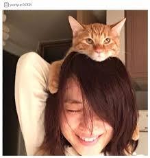 石田ゆり子と猫の画像
